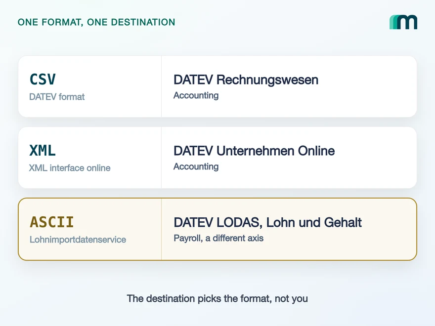 Illustration for DATEV Data Formats Explained: CSV, XML and ASCII
